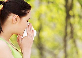 אלרגיה עונתית