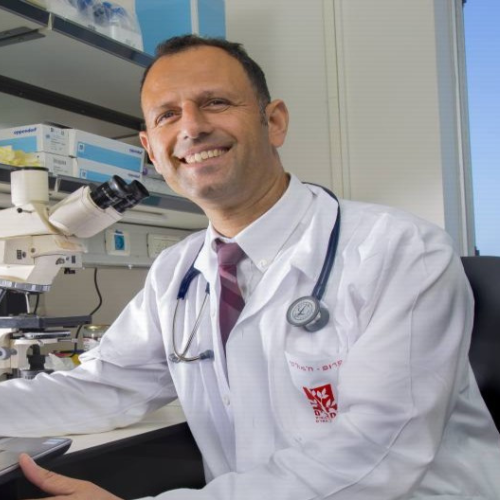 פרופ' מוריר חמאיסי