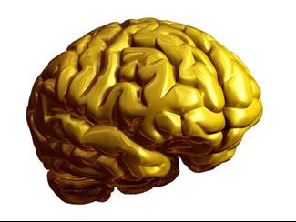 תרופות נגד דיכאון יכולות להשפיע על מבנה המוח