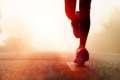 תכניות אימונים למרוצי מרתון תל-אביב 2013