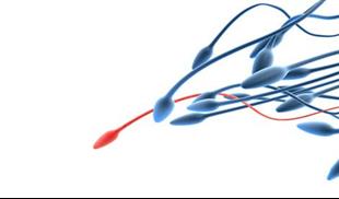 גירוי יתר - הסיכון של טיפולי הפריה