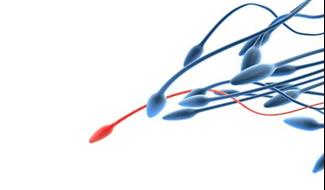 גירוי יתר - הסיכון של טיפולי הפריה