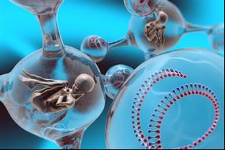 פריצת דרך במניעת מחלות גנטיות: תינוק משלושה הורים