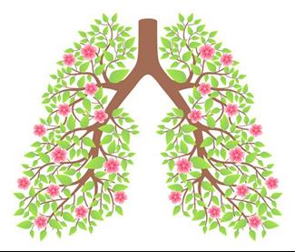 תקווה לחולי סרטן ריאות: תרופה מאריכת חיים