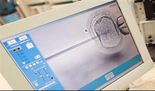 הקשר בין חצוצרות חסומות להפריה חוץ גופית