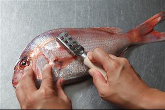 שנהיה לראש ולא לזנב: סכנת זיהום בעת ניקוי והכנת דגים
