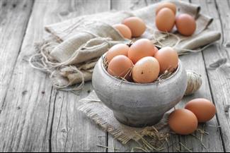 ביצים: כמה באמת מומלץ לאכול?