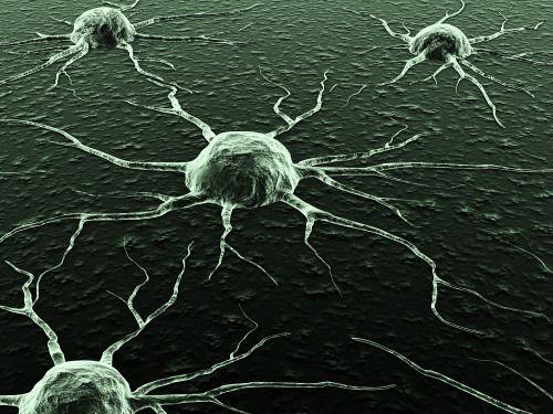 הדמייה של תאים סרטניים. 50% יחלו בסרטן בבריטניה