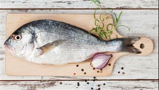 מה עדיף, קרפיון או דניס? מצעד הדגים הבריאים ביותר