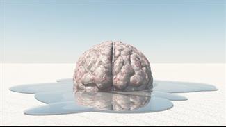 שימוש באקסטזי פוגע בזיכרון ובסרוטונין