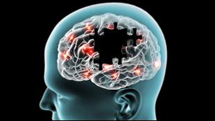 האם נמצא הגורם למחלה? כל מה שצריך לדעת על פרקינסון