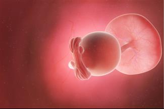 שבוע 5 להריון