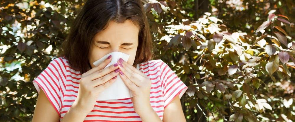 האביב כבר כאן, ואיתו האלרגיות: האם השנה זה באמת גרוע יותר?