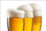 שתייה מתונה של בירה מחזקת את המערכת החיסונית