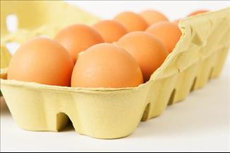 עושים שימוש חוזר בתבניות ביצים? אתם מסתכנים בסלמונלה
