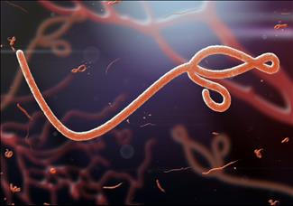 כל מה שצריך לדעת על אבולה