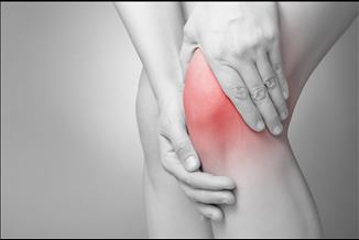 האם בקרוב נוכל לגדל סחוס מחדש?