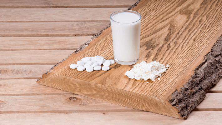 פרוביוטיקה החיידק הידידותי