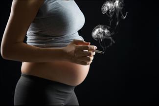 יש עישון – אין נכדים: האם עישון בהריון פוגע בפוריות הילד?