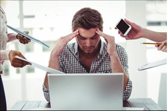 4 צמחי מרפא שיעזרו להיאבק בסטרס