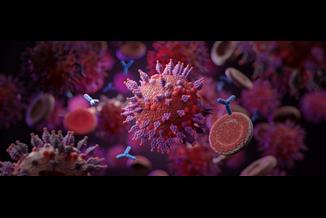 האם האומיקרון יחסל את וריאנט הדלתא ולמה זה מעודד?