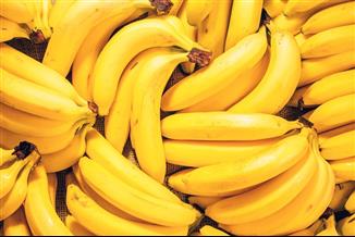 בננות, הכתבה הזו בשבילכן