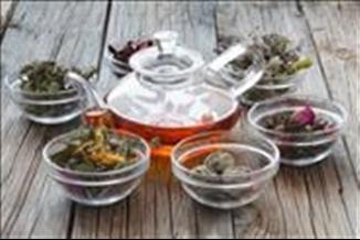 נטורופתיה - צמחים הם לא רק ליופי אלא גם לבריאות