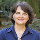 פרופ' מיכל שטיינברג