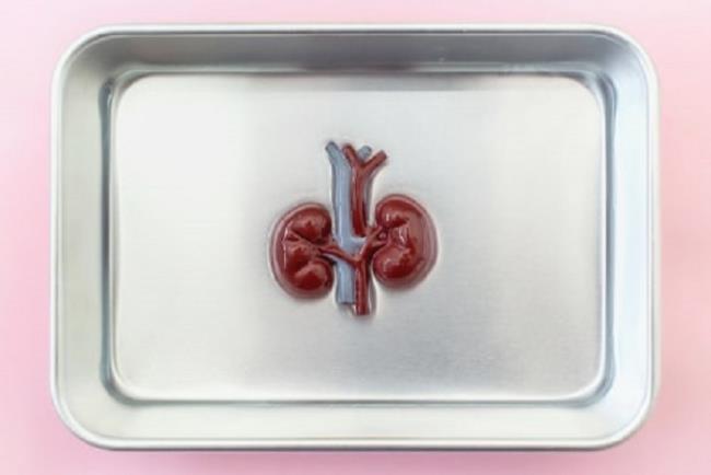 כליות המיועדות להשתלה, אזאתיופרין לדיכוי מערכת החיסון לאחר השתלת כליה