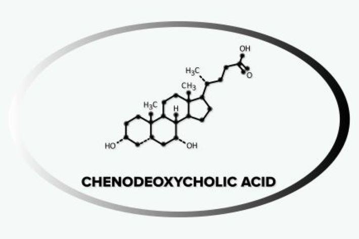 חומצה כנודאוקסיכולית לטיפול במחלת CTX