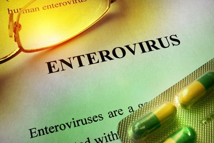 כיתוב באנגלית של אנטרווירוס לצד קפליות ומשקפיים