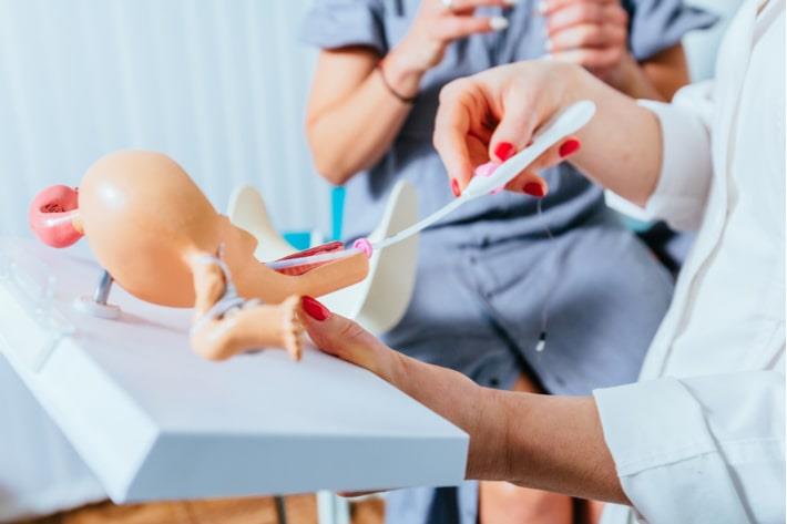 רופאה גניקולוגית מדגימה למטופלת על הליך הזרעה תוך רחמי באמצעות דגם